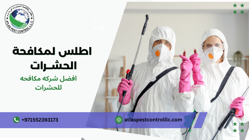 افضل شركه مكافحه للحشرات