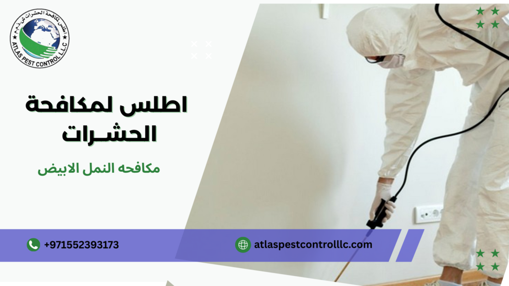 مكافحه النمل الابيض