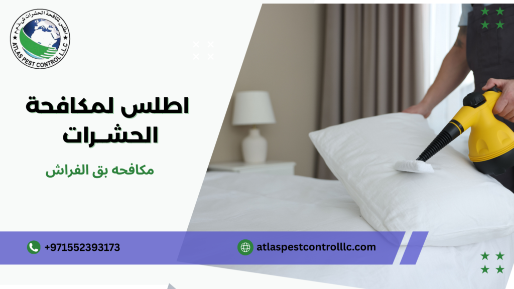 مكافحه بق الفراش