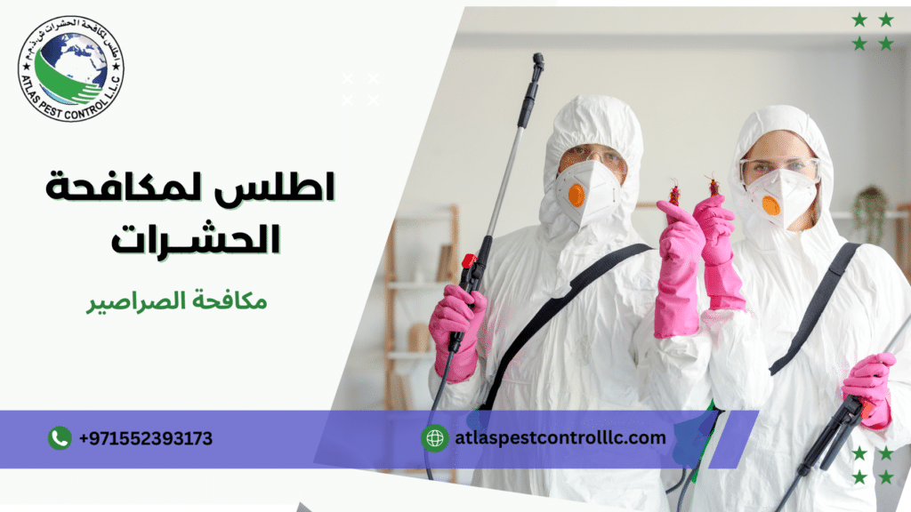 مكافحة الصراصير