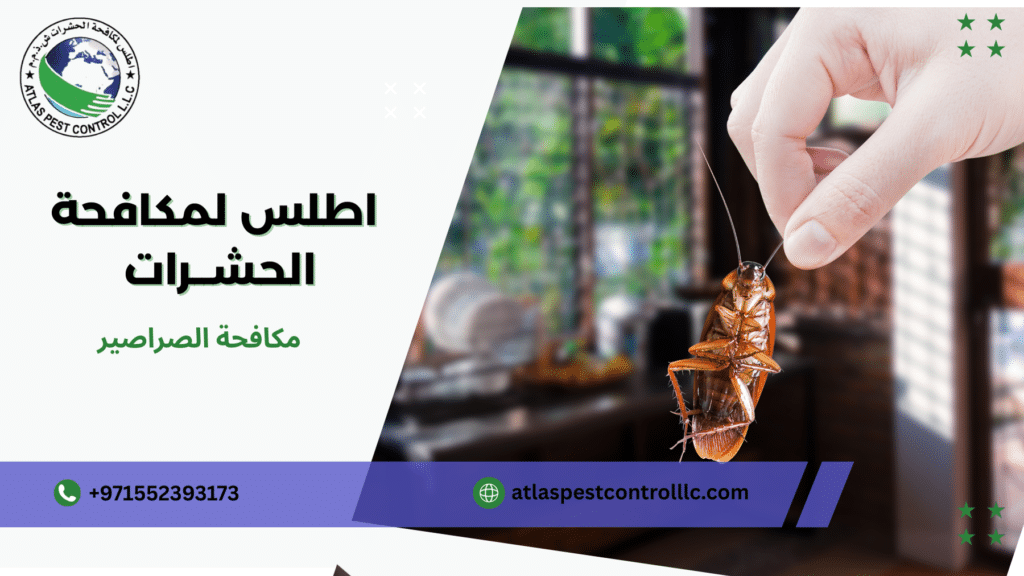 مكافحة الصراصير