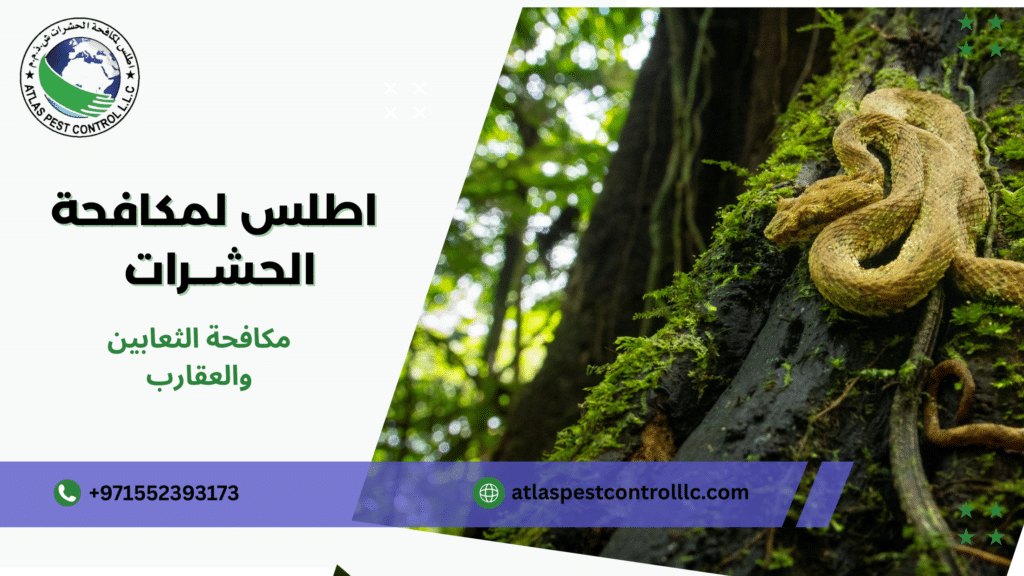 مكافحة الثعابين والعقارب