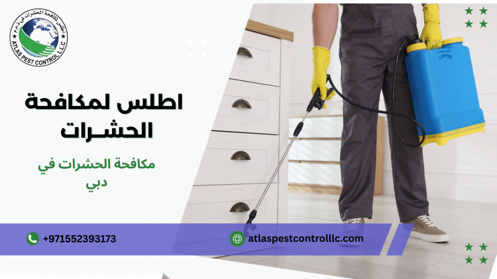 مكافحة الحشرات في دبي