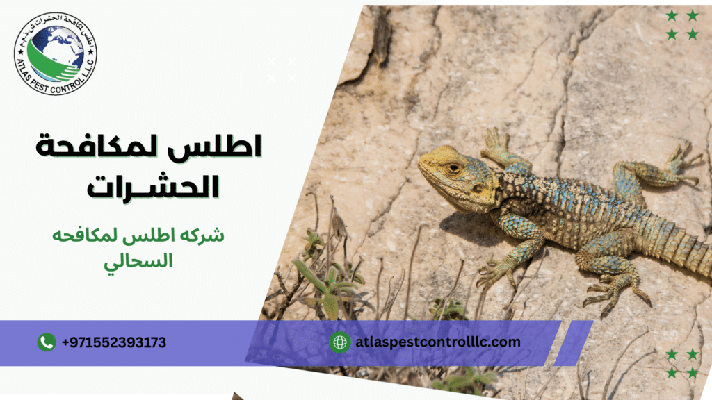 شركه اطلس لمكافحه السحالي