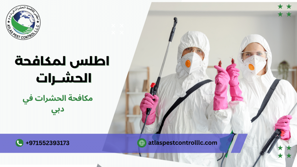 مكافحة الحشرات في دبي