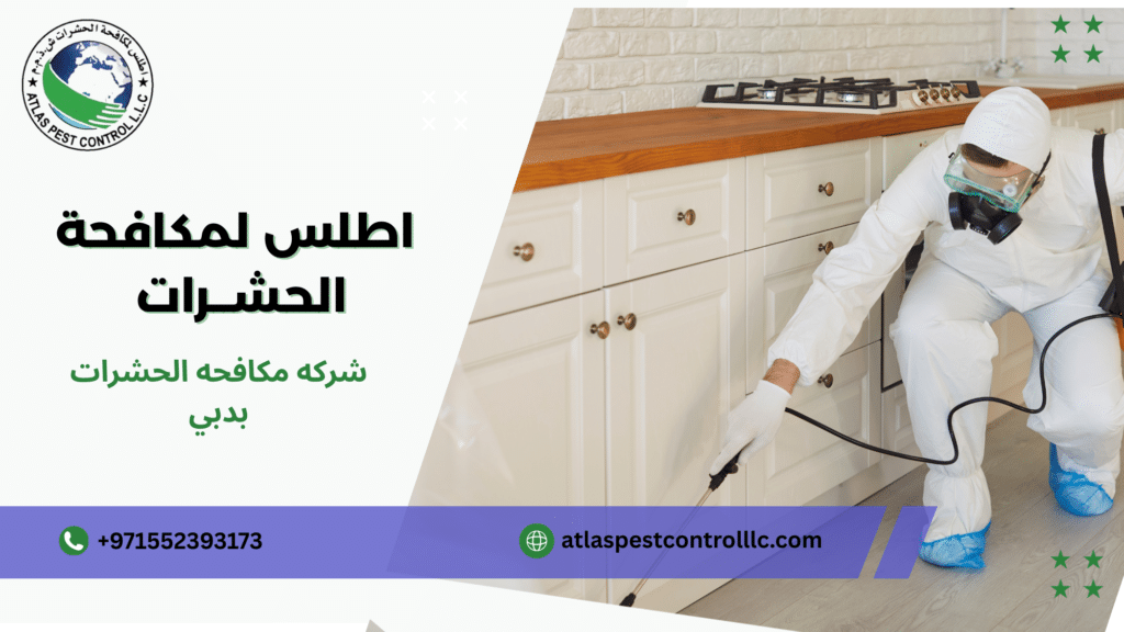 شركه مكافحه الحشرات بدبي