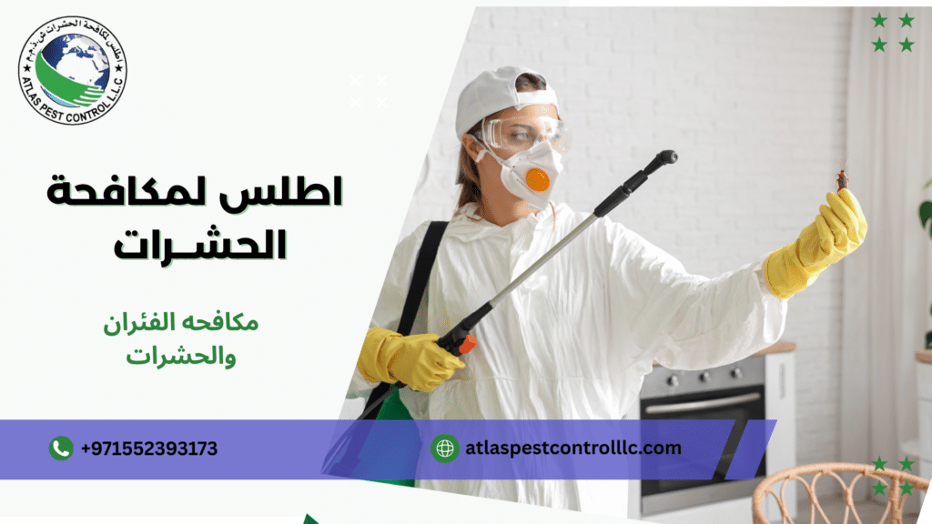 مكافحه الفئران والحشرات