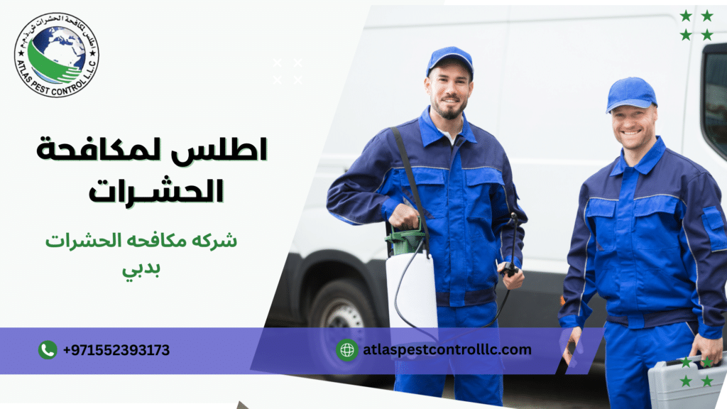 شركه مكافحه الحشرات بدبي