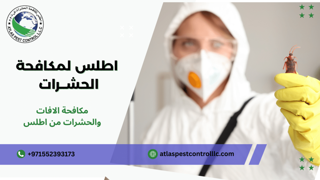اسرع مكافحة الحشرات بالشارقة