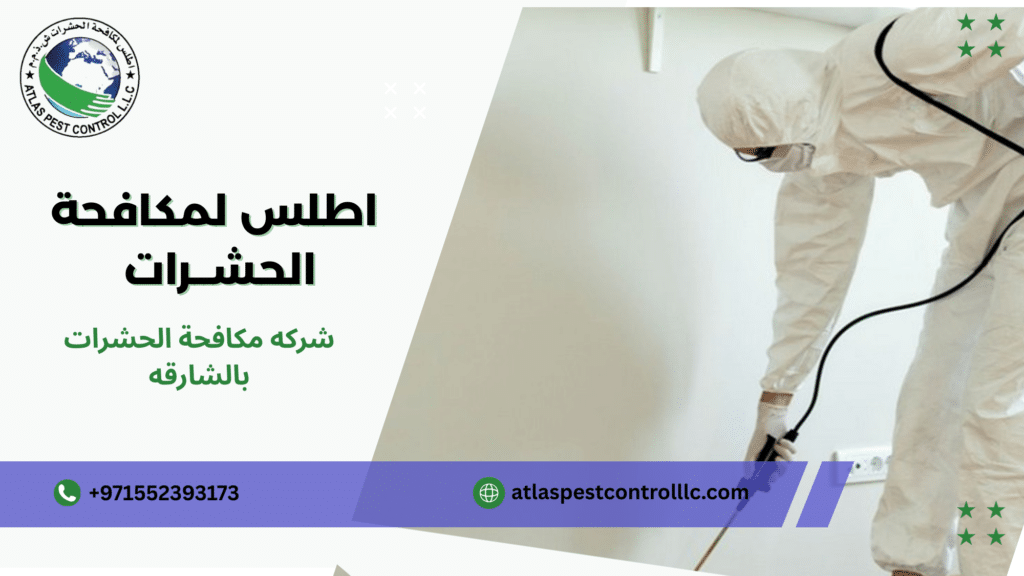شركه مكافحة الحشرات بالشارقه