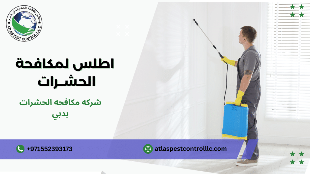 شركه مكافحه الحشرات بدبي