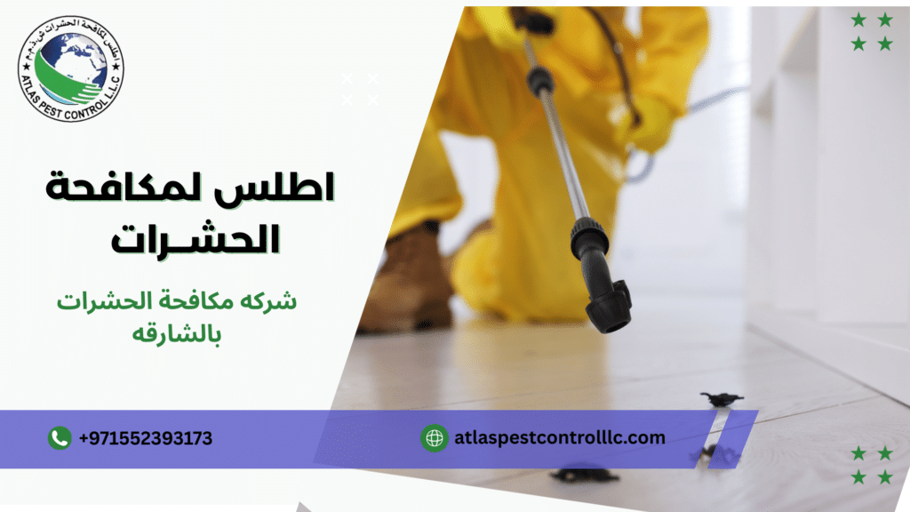 شركه مكافحة الحشرات بالشارقه