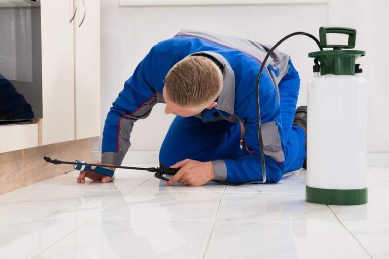 شركه مكافحة الحشرات بالشارقه