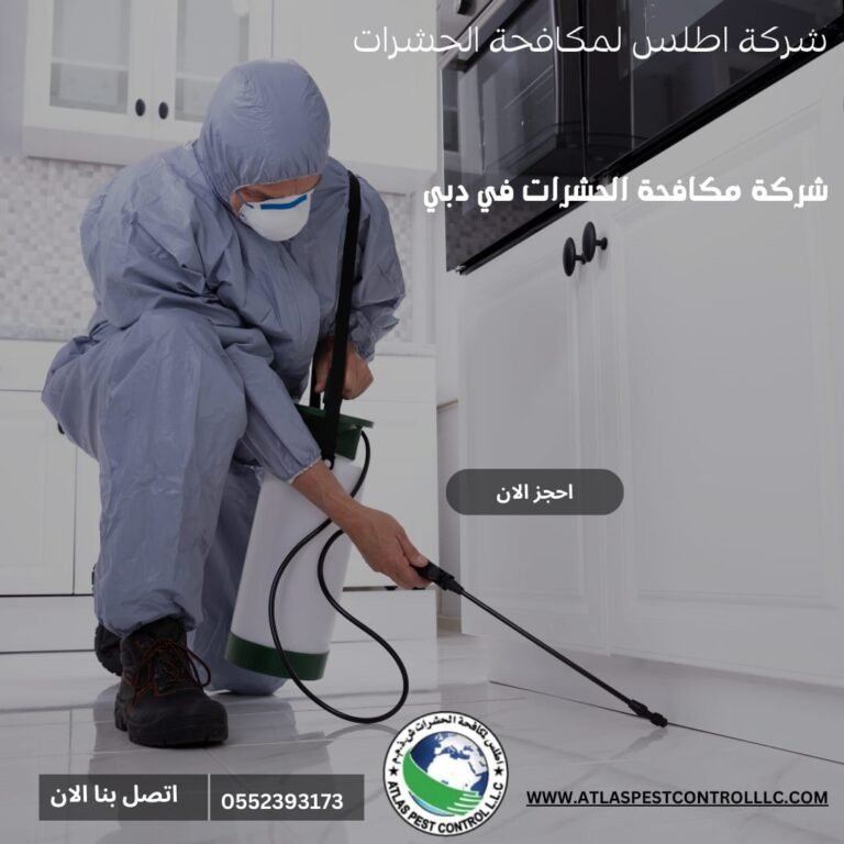 رش المنزل من الحشرات في دبي