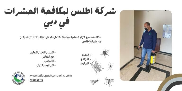 شركة مكافحة حشرات بدبي