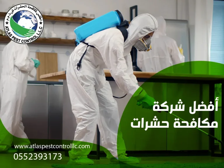 أفضل شركة مكافحة حشرات