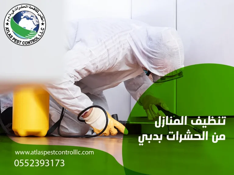 تنظيف المنازل من الحشرات بدبي