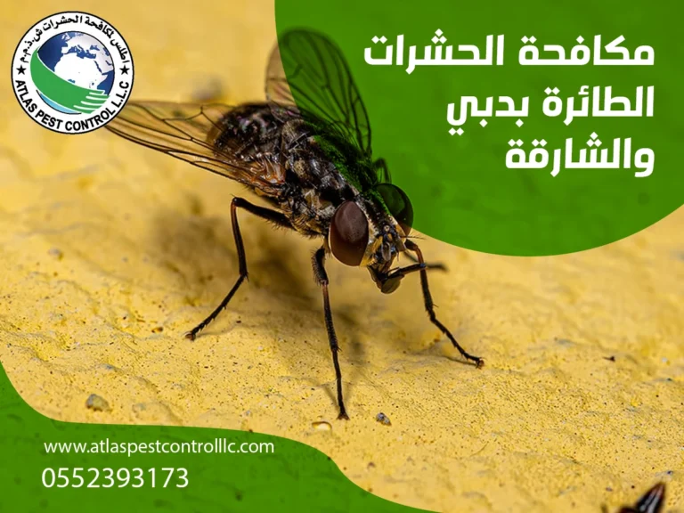 شركة أطلس لمكافحة الشرات