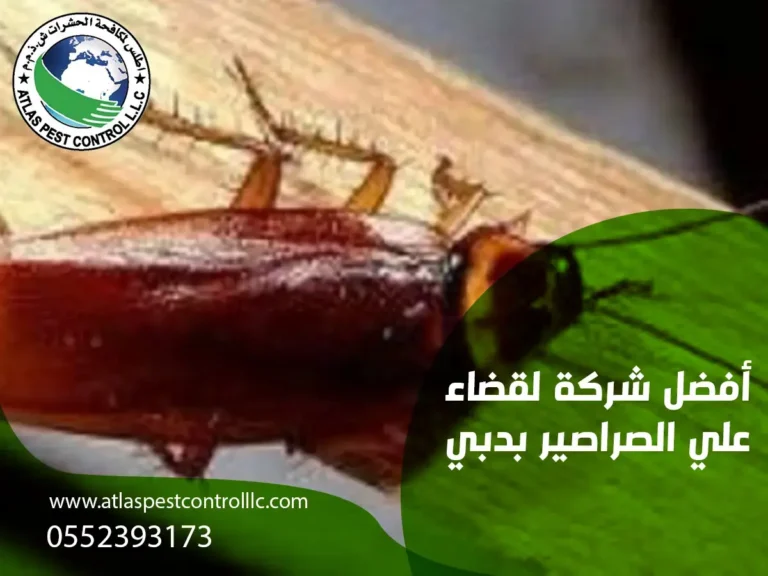 أفضل شركة لقضاء علي الصيراصير بدبي