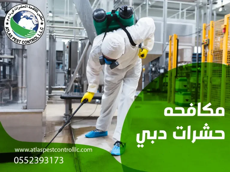 مكافحه حشرات دبي