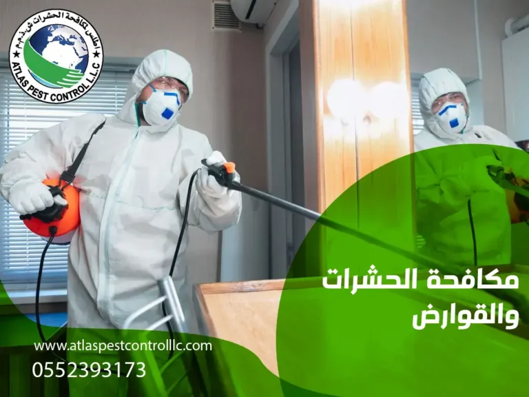 مكافحة الحشرات والقوارض