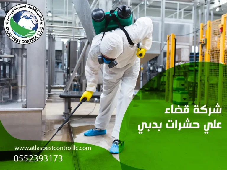 شركة مكافحة الحشرات بدبي