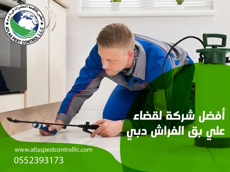 أفضل شركة لقضاء علي بق الفراش دبي