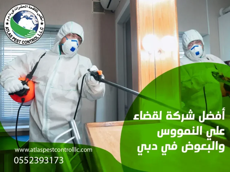 أفضل شركة لقضاء علي النمووس والبعوض في دبي