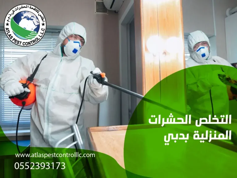 التخلص الحشرات المنزلية بدبي