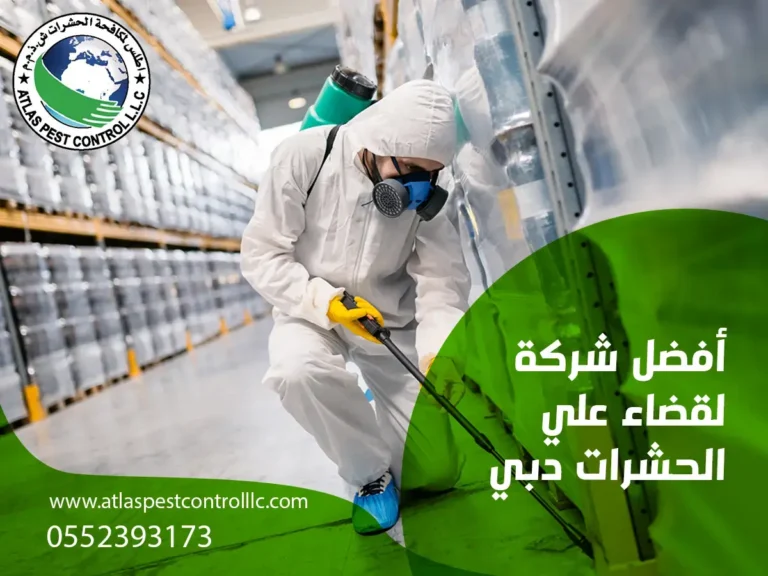 أفضل شركة لقضاء علي الحشرات دبي