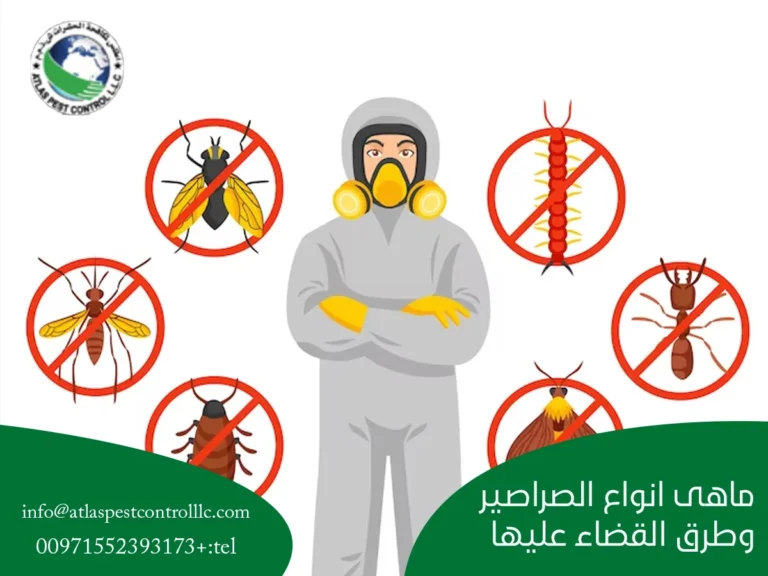 ماهى انواع الصراصير وطرق القضاء عليها