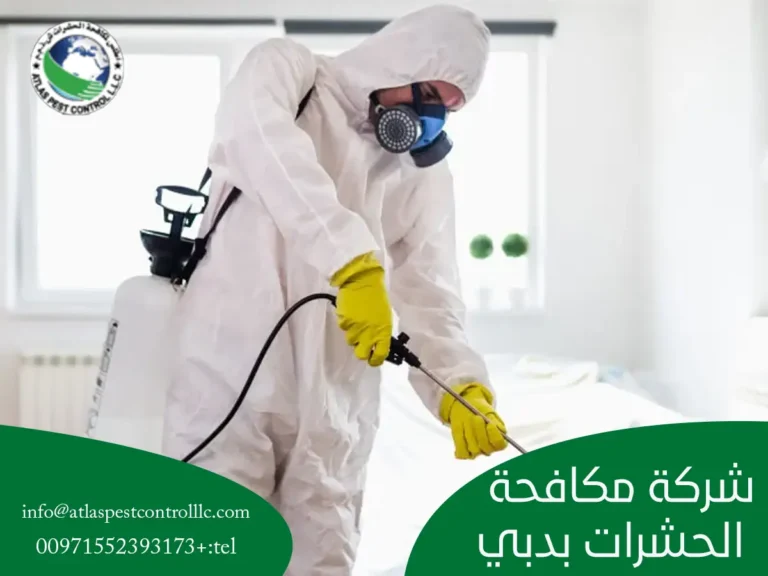شركة مكافحة الحشرات بدبي