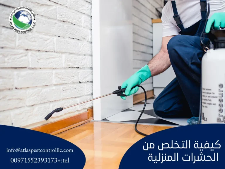 كيفية التخلص من الحشرات المنزلية