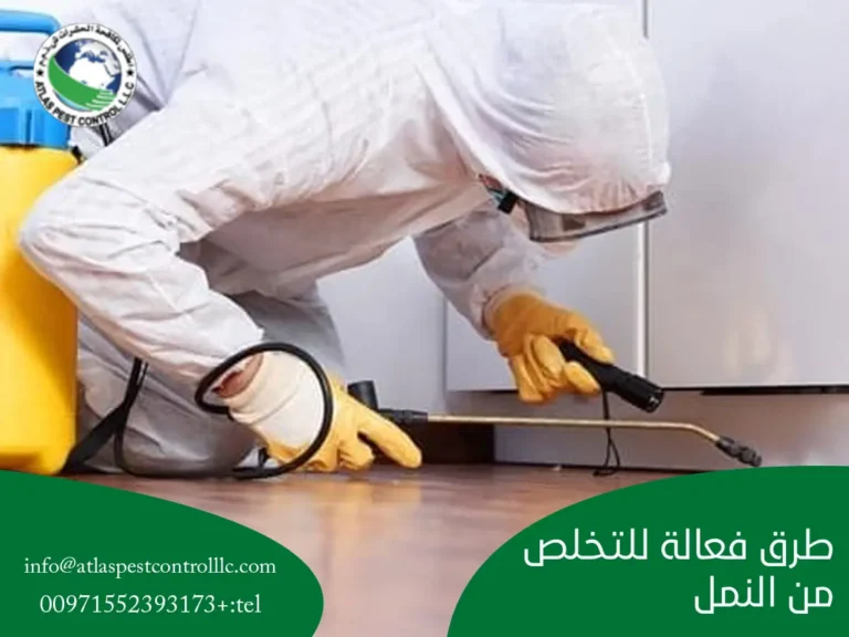 طرق فعالة للتخلص من النمل