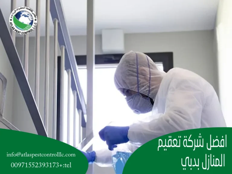 شركة تعقيم المنازل بدبي