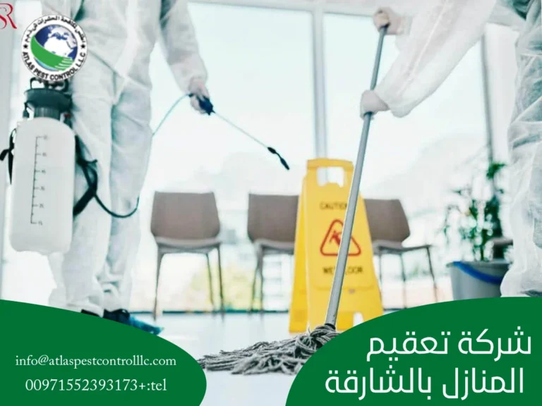شركة تعقيم المنازل بالشارقة