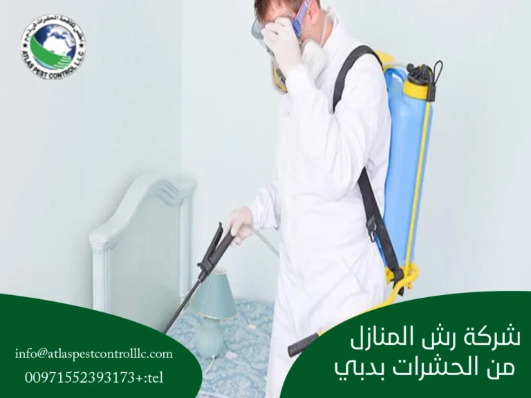 شركة رش المنازل من الحشرات بدبي
