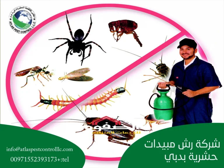 شركة رش مبيدات حشرية بدبي
