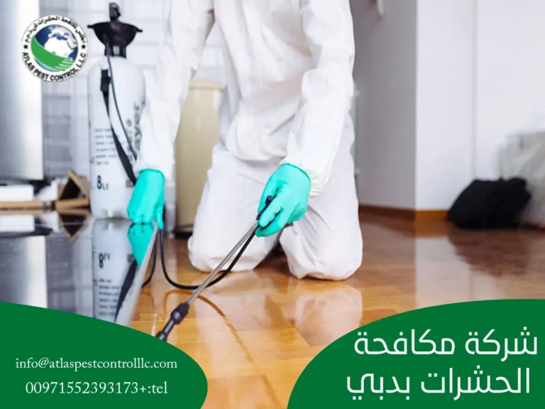 شركة مكافحة الحشرات بدبي