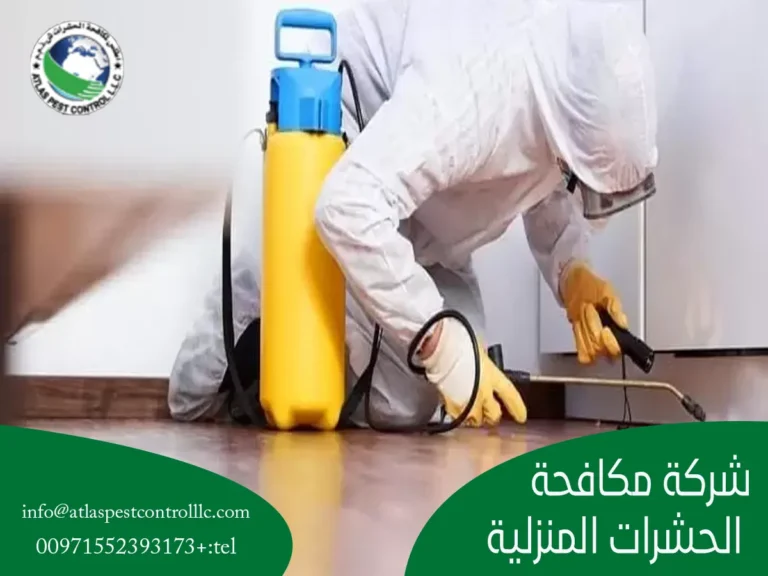شركة مكافحة الحشرات المنزلية