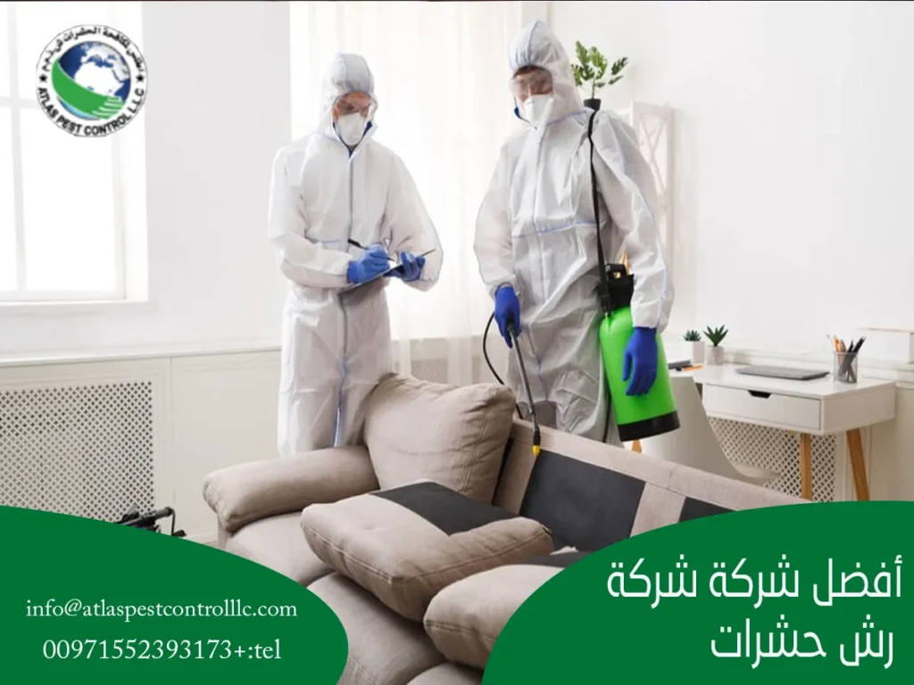 أفضل شركة رش حشرات