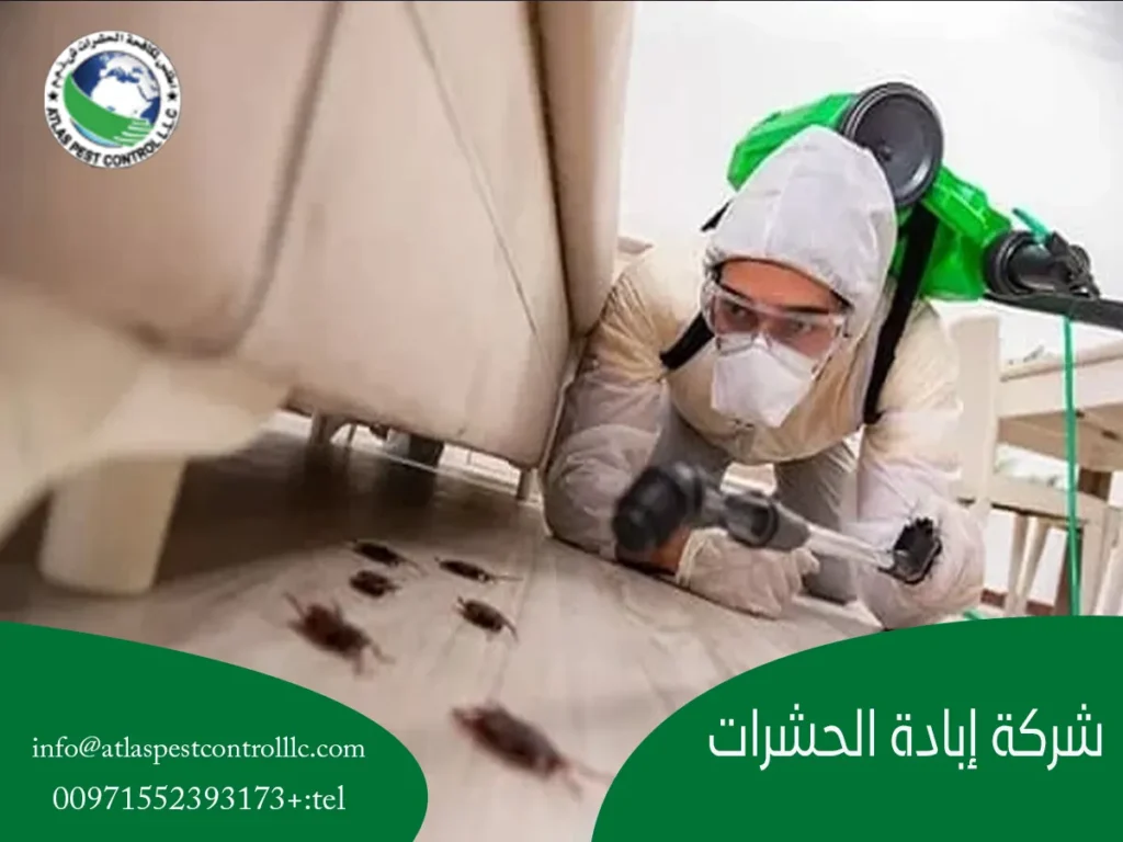 شركة إبادة الحشرات