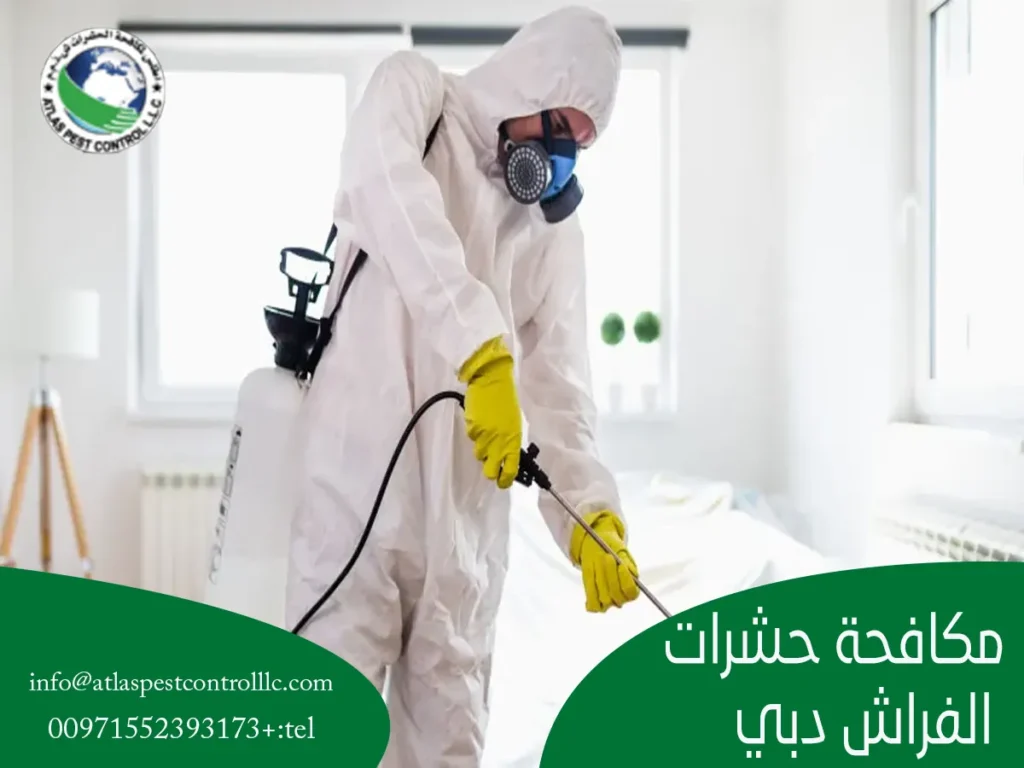 مكافحة حشرات الفراش دبي