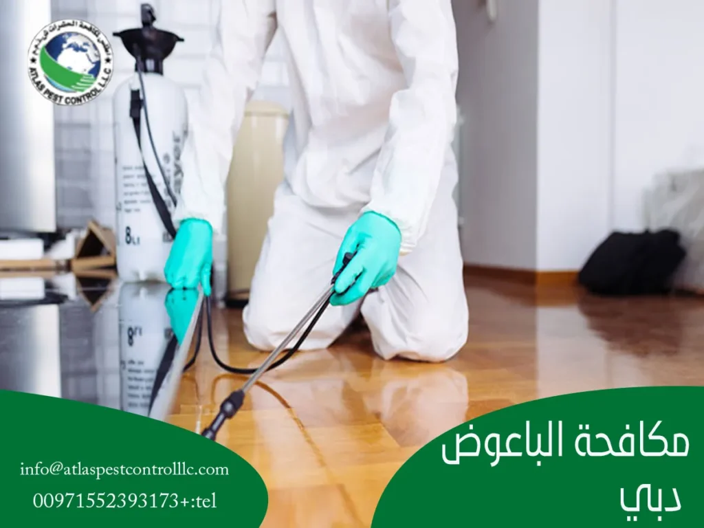 مكافحة الباعوض دبي