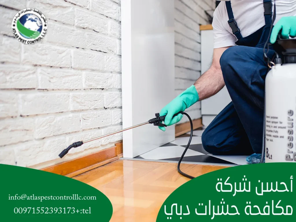 أحسن شركة مكافحة حشرات دبي