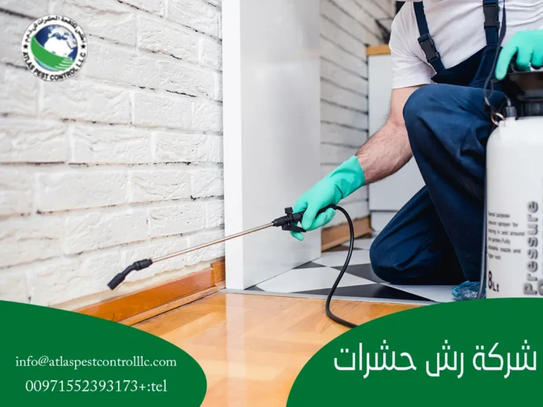 شركة رش حشرات