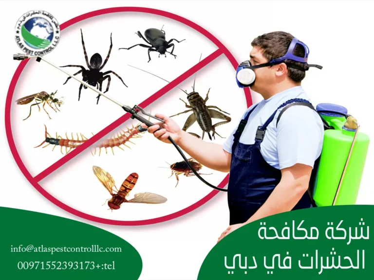 شركة مكافحة حشرات في دبي