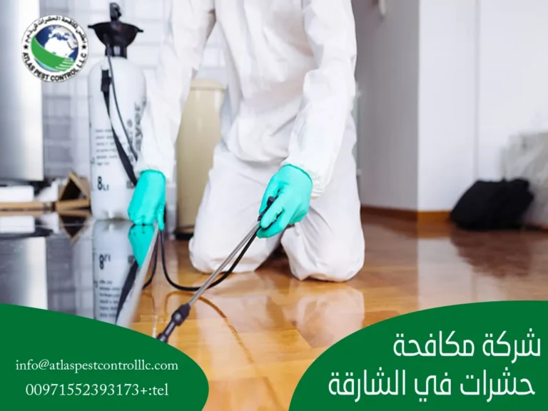شركة مكافحة حشرات في الشارقة