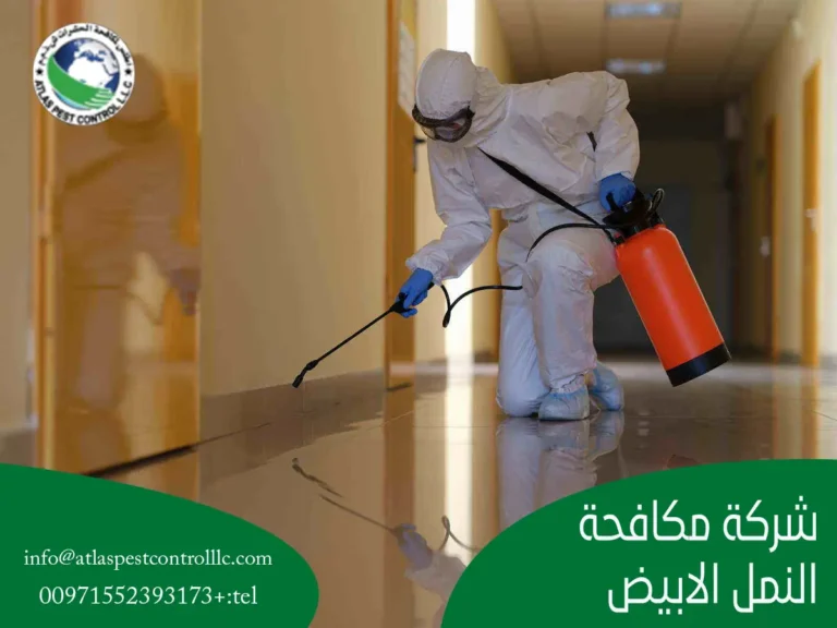 شركة مكافحة النمل الأبيض