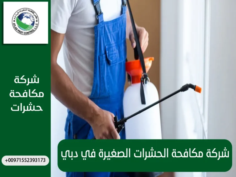 شركة مكافحة الحشرات الصغيرة في دبي